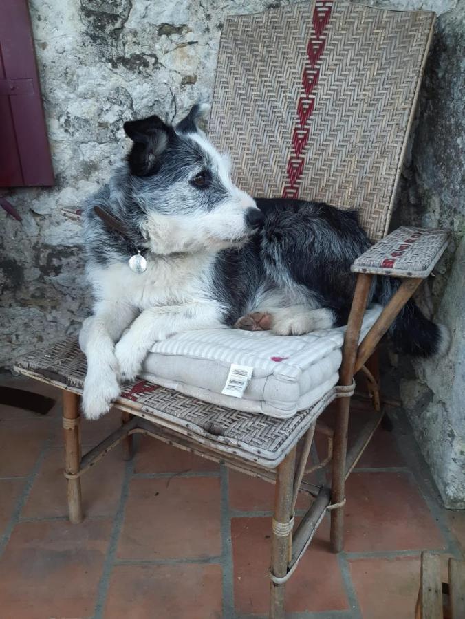 Le Peyrail Bed and Breakfast Les Lèves-et-Thoumeyragues Buitenkant foto